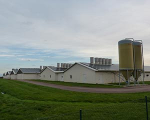 Legehennenstallanlage Pfaffendorf | Neubau